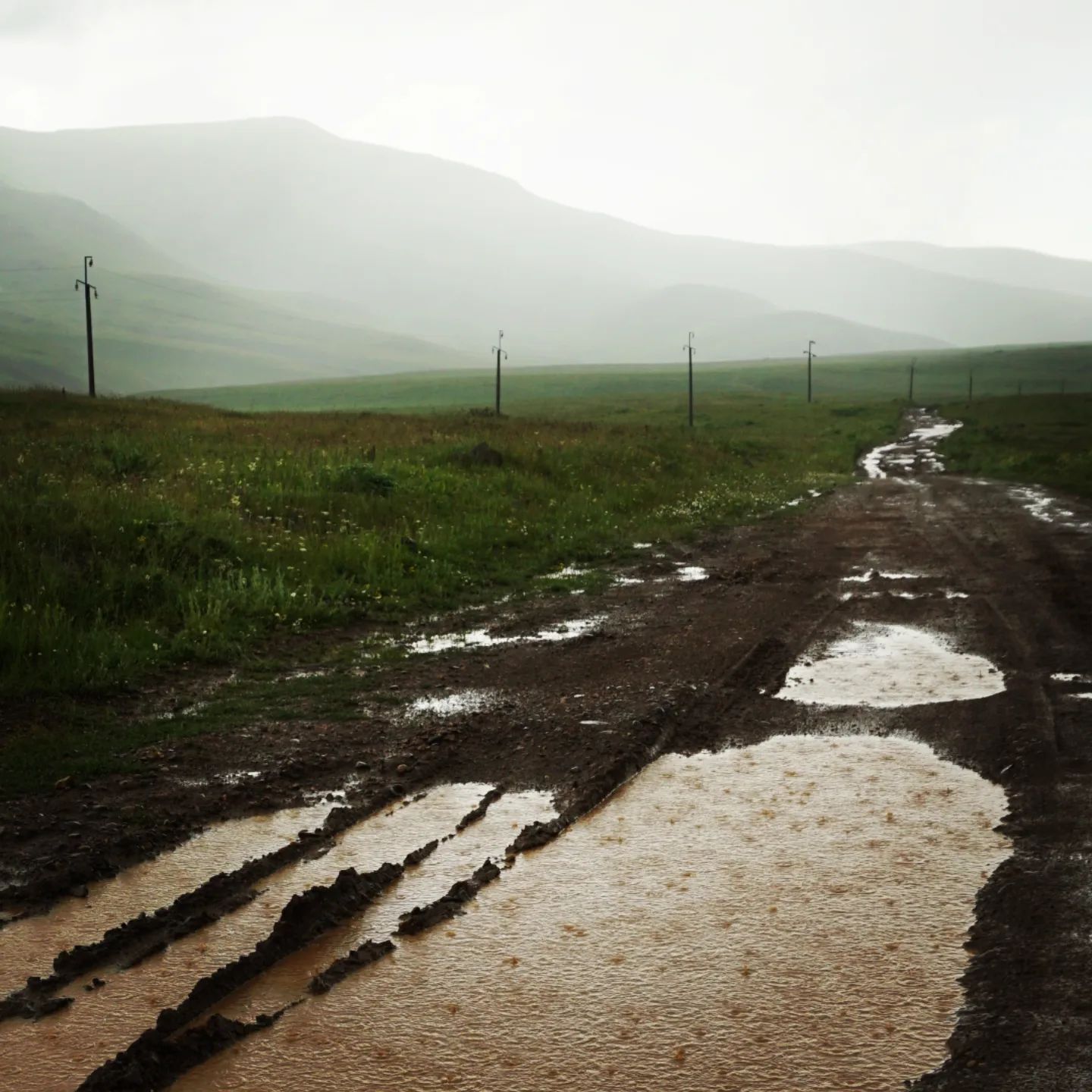 A photograph of a mud road receding into foggy distance with lots of rainy puddles.