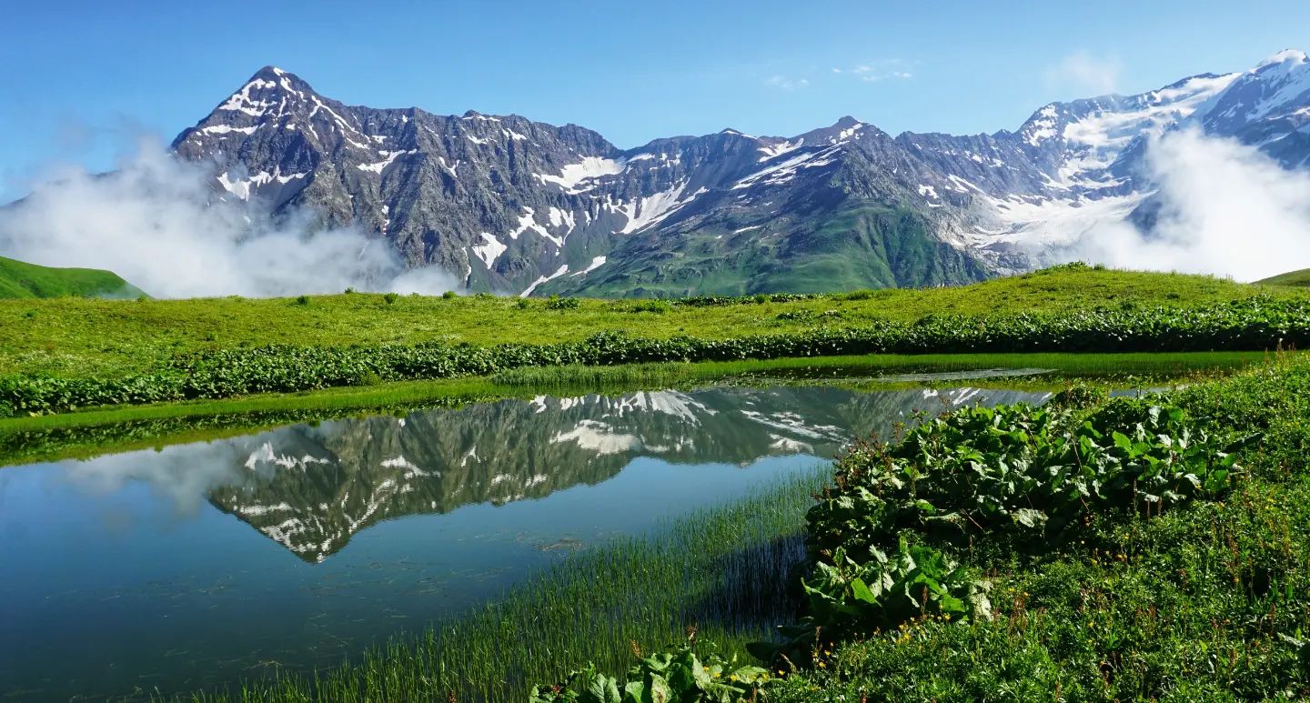A photograph of one of the Sasvano Lakes, a small lake with reeds surrounded by green vegetation, reflecting the snowy Greater Caucasus mountain range in the background.