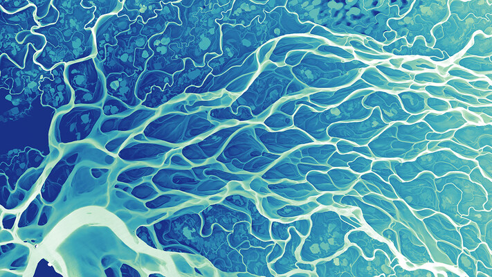 An artistic rendering of the topography of a portion of the Lena River, named “Lena River Veins” and created by Dan Coe. The topography is converted to a REM (relative elevation model) and rendered in shades of blue.