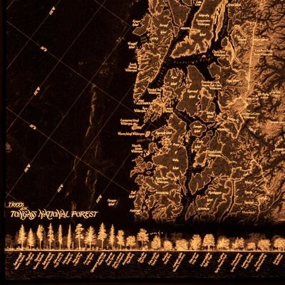 A cropped image of a backlit illuminated map entitled “Trees of the Tongass National Forest” by Evan Applegate. The map is monotone, with a black background and details shown by warm white-yellow light shining though with various levels of brightness. The region depicted shows an area of fjords adjacent to the ocean, with a rotated projection so the coast runs from the top to the bottom in a straight line. At the bottom there is marginalia showing the heights of different native trees.