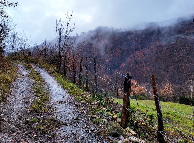 Una fotografía de un camino de tierra mojado en las montañas Apeninas de Toscana. El camino gira hacia la izquierda de la imagen, mientras que a la derecha hay una rústica cerca de alambre, un campo verde y el lado opuesto del valle cubierto de árboles, con algunos rastros de color otoñal restante y nubes bajas aferrándose.