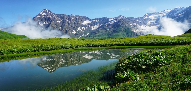 A photograph of one of the Sasvano Lakes, a small lake with reeds surrounded by green vegetation, reflecting the snowy Greater Caucasus mountain range in the background.
