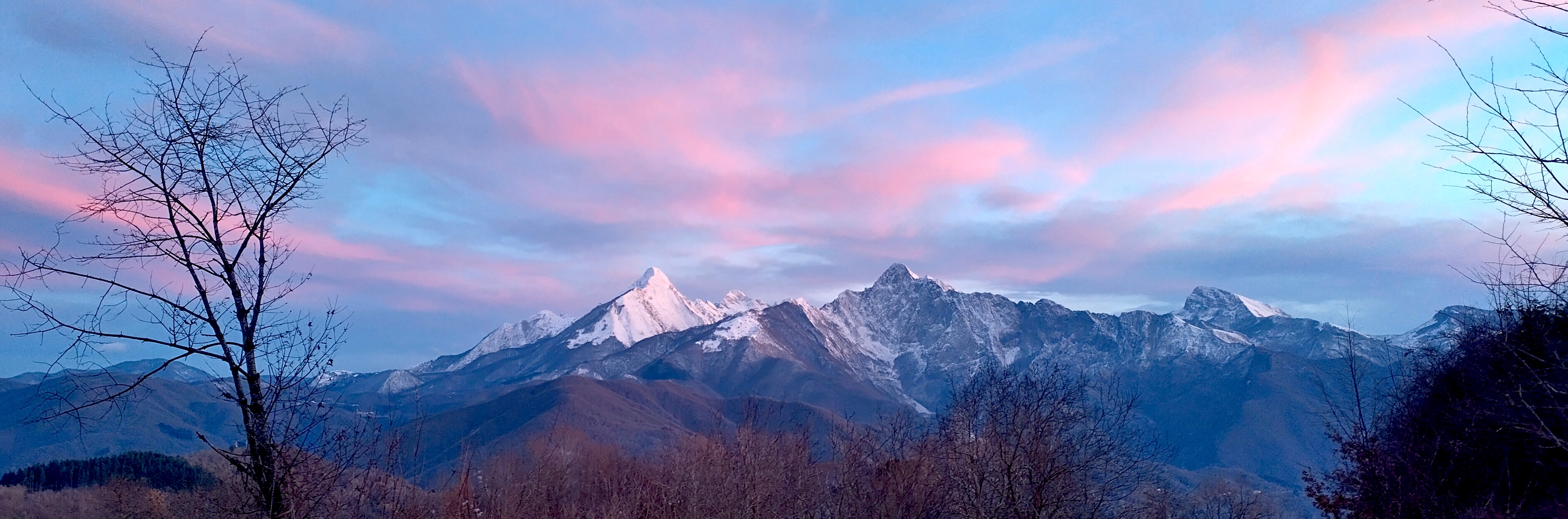 A wide-format photograph of the Apuan Alps viewed roughly 10 km from the NNW, showing a snowy mountain ridge on a background of blue sky with tufts of pink sunset clouds. The foreground is full of dark, leafless trees.