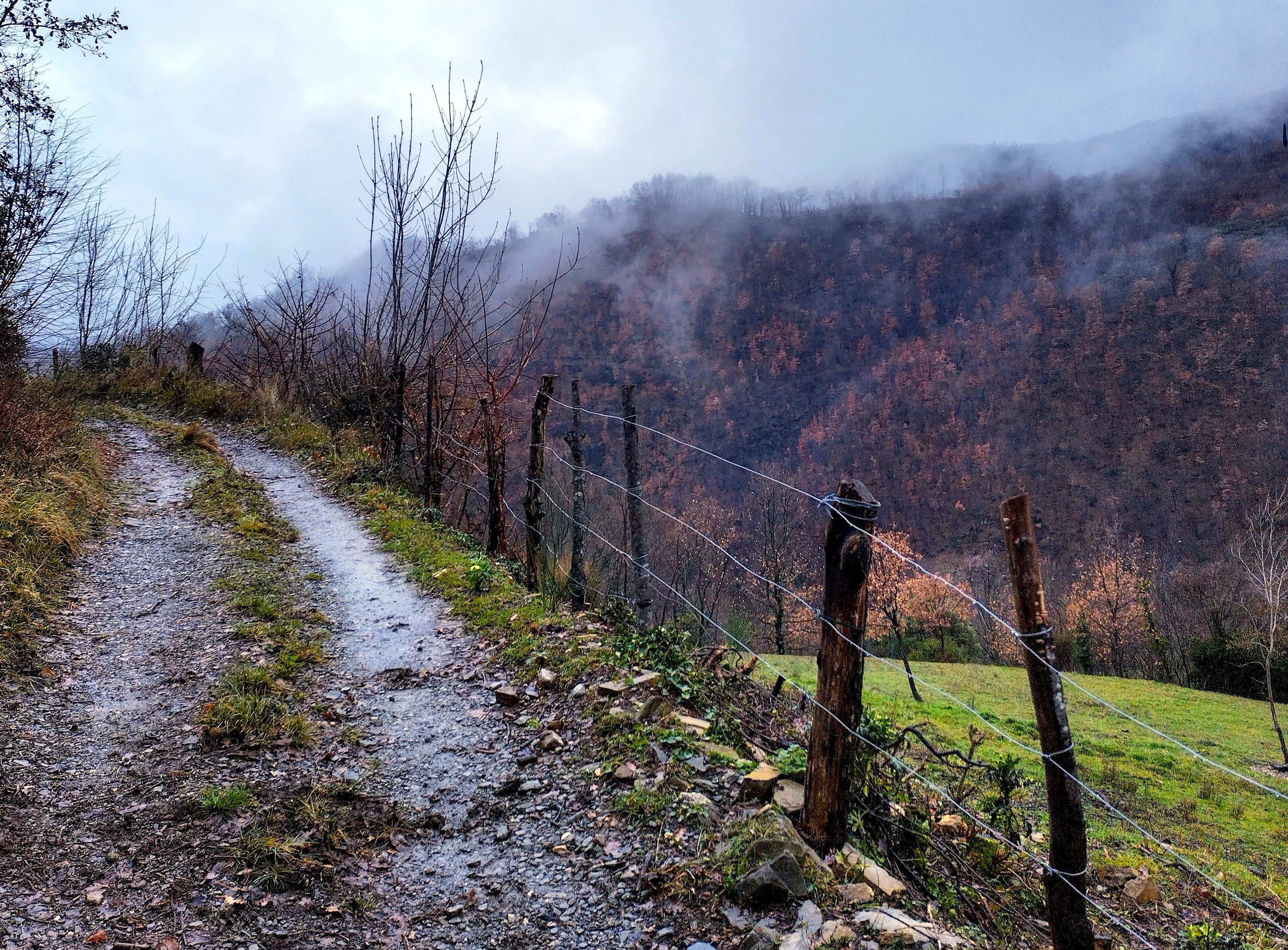A photograph of a wet dirt road in the Apennine Mountains of Tuscany. The road bends off to the left of the image, whilst on the right there is a rustic wire fence, a green field, and the opposite side of the valley covered in trees, with a few traces of autumn colour remaining, and low cloud clinging on.